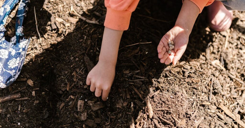 découvrez l'art du compostage : une méthode naturelle et écologique pour valoriser vos déchets organiques. apprenez à transformer vos restes alimentaires en un terreau riche, bénéfique pour votre jardin. adoptez des pratiques durables et contribuez à la protection de l'environnement tout en enrichissant votre sol.