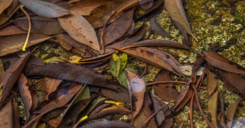 découvrez des astuces et techniques efficaces pour réduire vos déchets de jardin. adoptez des pratiques écologiques pour un espace vert plus propre tout en valorisant vos déchets organiques.