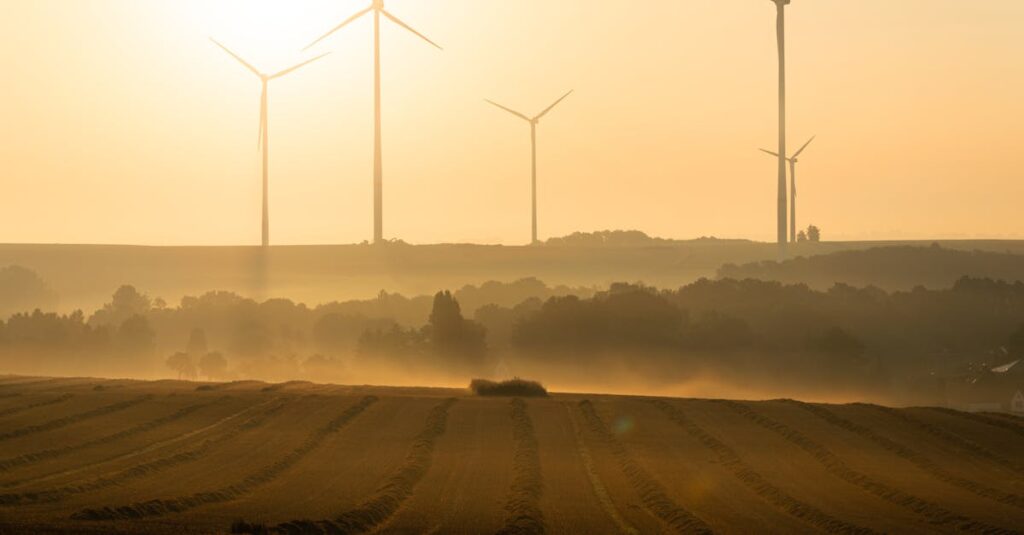 découvrez des alternatives écologiques pour un mode de vie durable. explorez des produits et des pratiques respectueux de l'environnement qui vous aideront à réduire votre empreinte carbone tout en préservant notre planète.