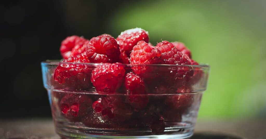 découvrez l'alimentation durable : des conseils pratiques pour manger de manière éthique et respectueuse de l'environnement. apprenez à choisir des aliments sains, locaux et de saison tout en réduisant votre empreinte carbone.