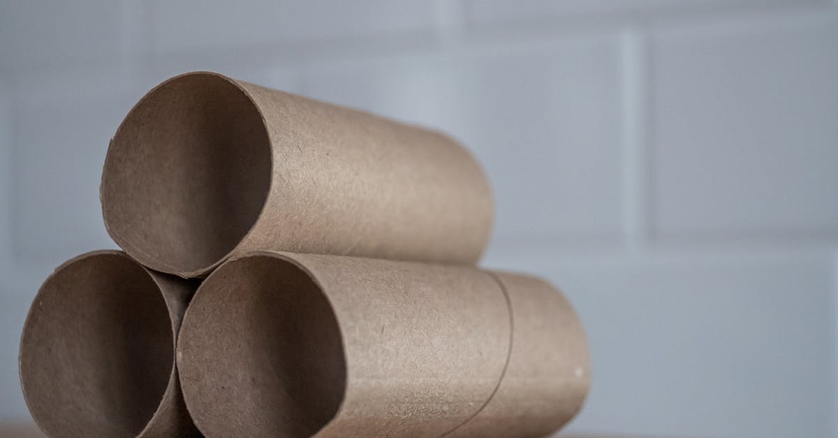 découvrez notre gamme de produits jetables, alliant praticité et respect de l'environnement. idéaux pour vos événements, pique-niques ou simplement pour simplifier votre quotidien, ces articles offrent confort et hygiène sans compromis. optez pour une solution facile et rapide tout en contribuant à une consommation responsable.