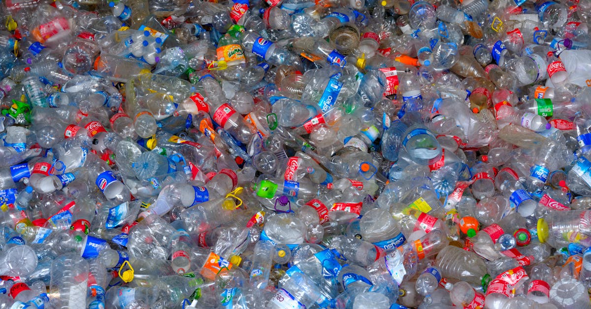découvrez les impacts environnementaux majeurs causés par l'activité humaine et les solutions durables pour préserver notre planète. informez-vous sur les enjeux écologiques actuels et les actions à entreprendre pour un avenir plus vert.