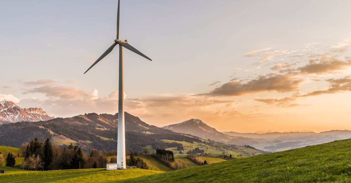 découvrez les impacts environnementaux majeurs de nos activités humaines et des solutions pour préserver notre planète. informez-vous sur les enjeux écologiques, les mesures durables et les innovations pour réduire notre empreinte écologique.