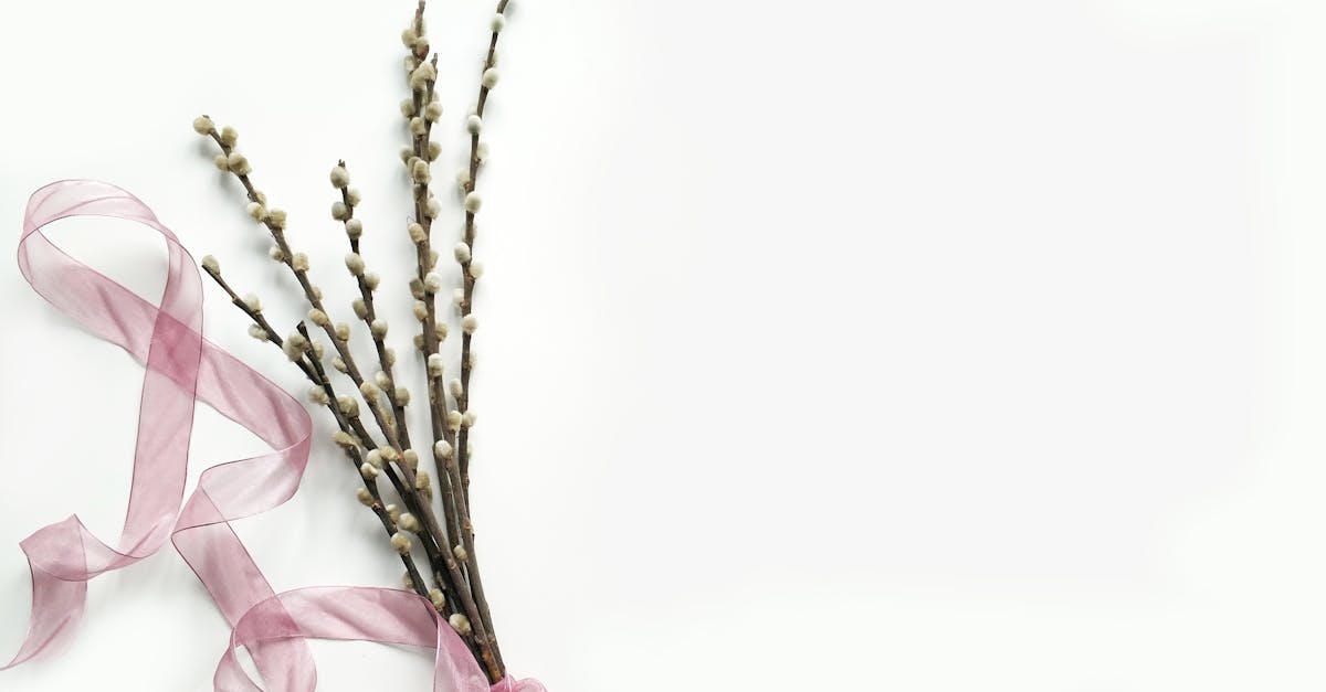 découvrez le minimalisme, un style de vie qui prône la simplicité et l'essentiel. apprenez à réduire le superflu, à désencombrer votre environnement et à n'utiliser que ce qui vous apporte de la joie. embrassez un mode de vie plus serein et conscient grâce à nos conseils pratiques et inspirations.