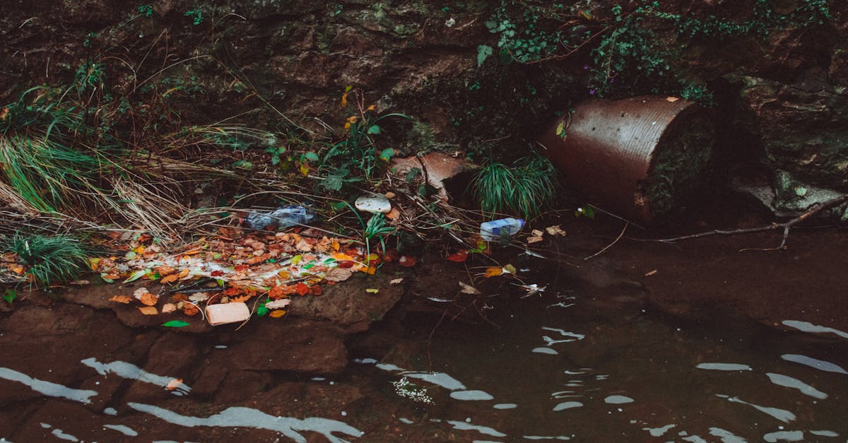 découvrez les meilleures pratiques et solutions pour la gestion des déchets non recyclables. apprenez comment réduire l'impact environnemental de ces déchets grâce à des méthodes innovantes et durables. informez-vous sur les enjeux liés à leur traitement et les alternatives pour un avenir plus vert.