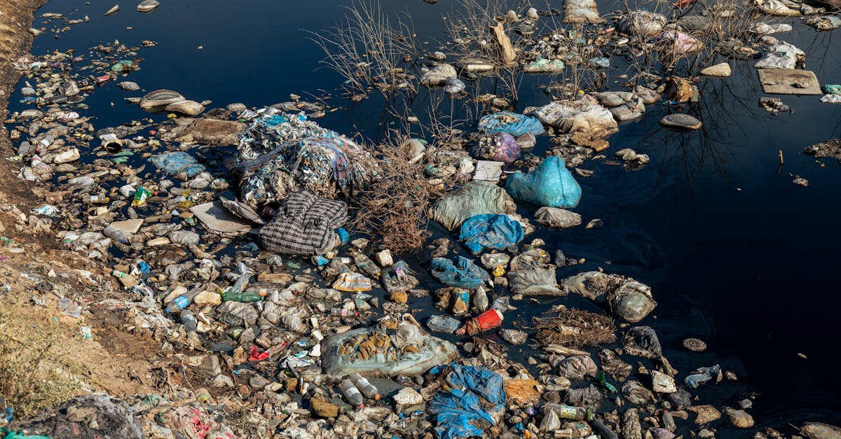 découvrez des solutions innovantes pour lutter contre les déchets plastiques. apprenez comment réduire, recycler et réutiliser efficacement le plastique pour protéger notre planète et favoriser un avenir durable.