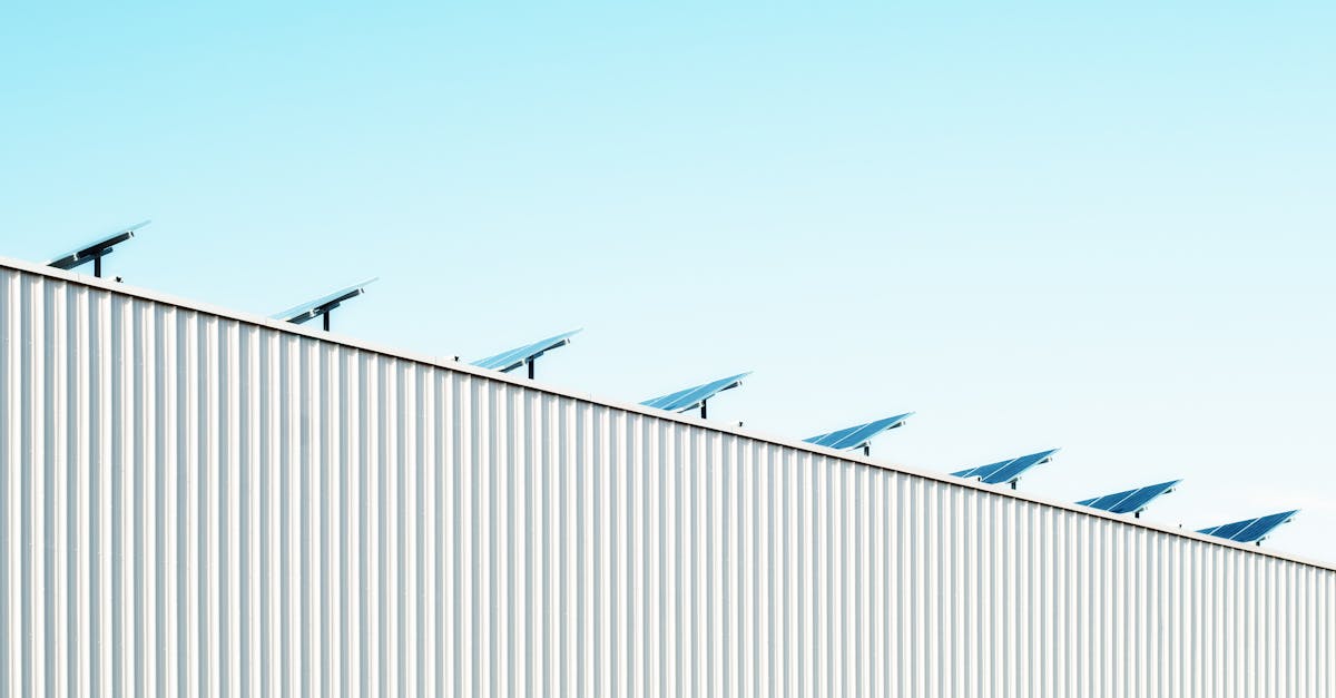 découvrez des solutions durables et innovantes pour un avenir respectueux de l'environnement. apprenez à adopter un mode de vie écoresponsable avec des astuces pratiques et des initiatives inspirantes.