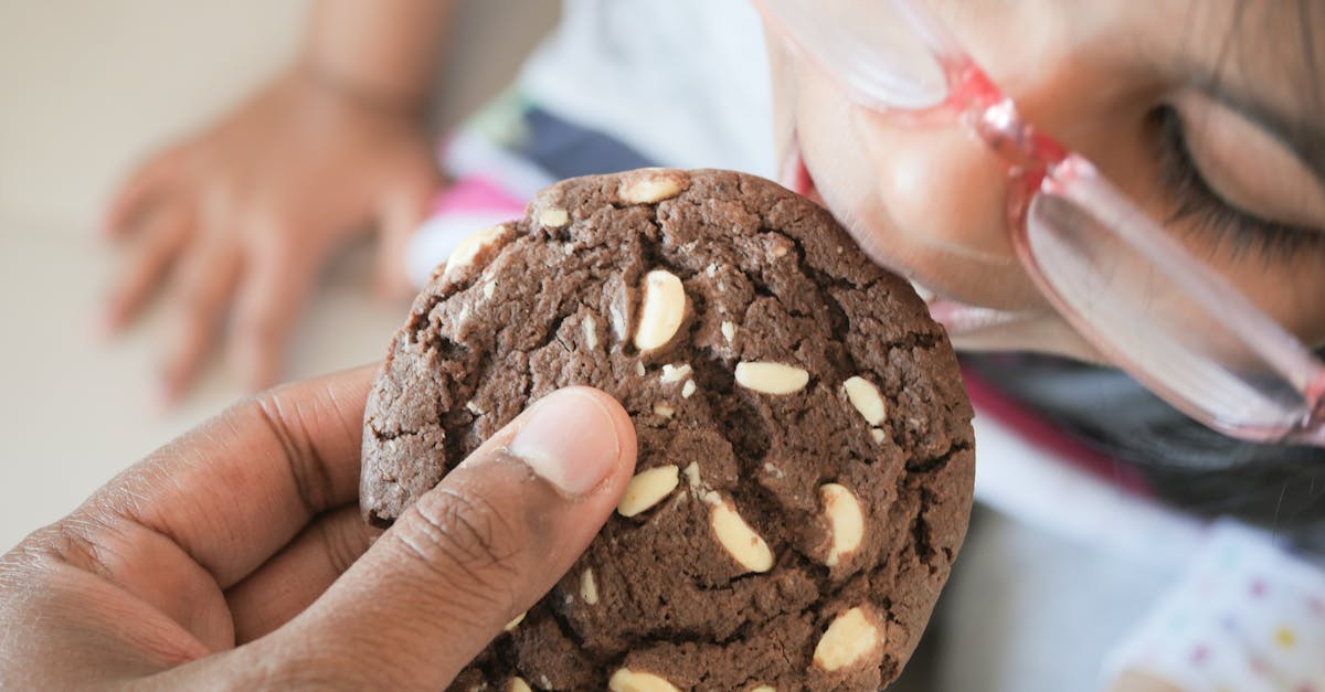 découvrez l'alimentation durable : des pratiques et des recettes pour manger de manière responsable tout en préservant notre planète. adoptez un mode de vie sain et respectueux de l'environnement.