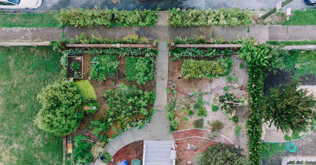 découvrez l'alimentation durable : guide des pratiques écoresponsables pour une consommation consciente. apprenez à choisir des aliments respectueux de l'environnement tout en préservant votre santé et celle de notre planète.