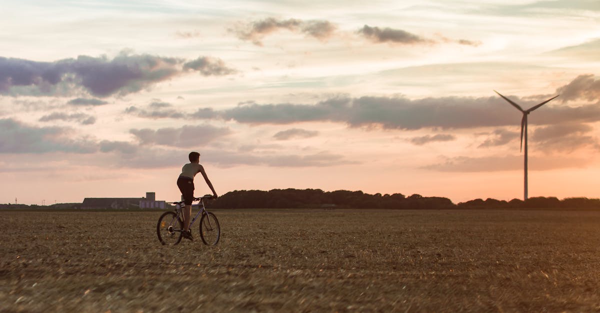découvrez des pratiques durables et des conseils pour un mode de vie respectueux de l'environnement. explorez des solutions éco-responsables qui font la différence pour notre planète.