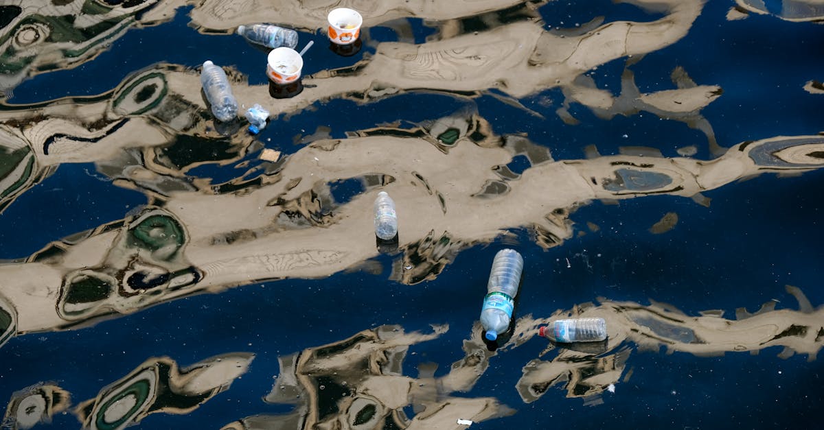 découvrez la hiérarchie des déchets, un principe fondamental pour la gestion durable des déchets, qui priorise la réduction, la réutilisation et le recyclage afin de minimiser notre impact sur l'environnement.