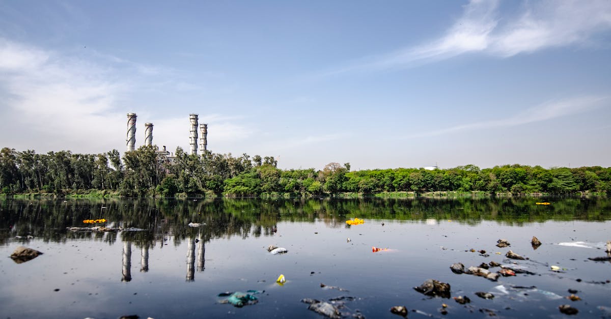 découvrez des stratégies efficaces pour la réduction des déchets. apprenez comment minimiser votre impact environnemental grâce à des astuces pratiques, des initiatives durables et des idées innovantes pour un mode de vie plus responsable.