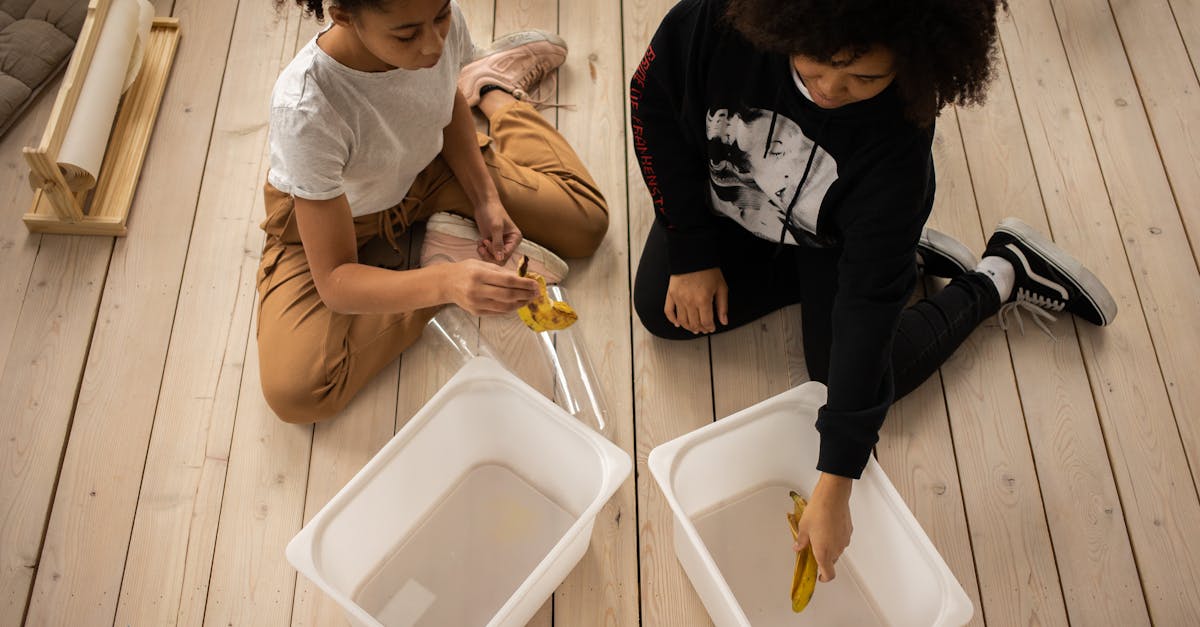 découvrez le mode de vie zéro déchet : réduisez votre impact environnemental avec des astuces pratiques, des conseils de recyclage et une consommation responsable. engagez-vous pour une planète plus propre et vivez de manière durable !