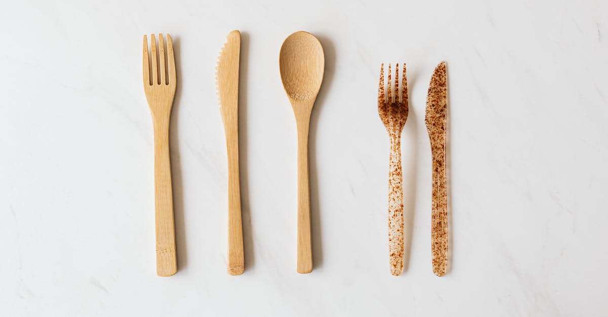 découvrez le mouvement zero waste : des astuces pratiques et des conseils pour réduire vos déchets et adopter un mode de vie écologique. vivez plus durablement en minimisant l'impact de votre quotidien sur la planète.