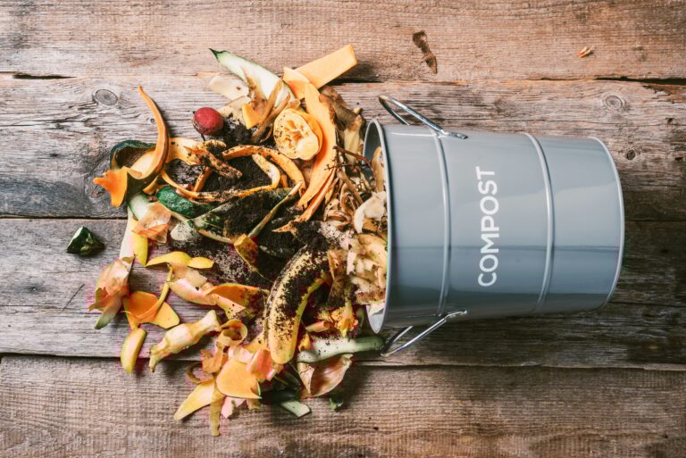 Sustainable and zero waste living. Vegetable waste in recycling compost pot. Top view. Copy space