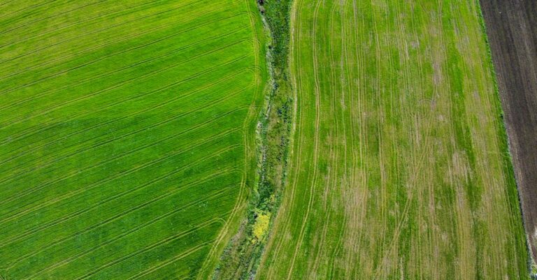 découvrez l'importance de la durabilité pour un avenir meilleur. explorer des pratiques écologiques, des produits éthiques et des initiatives qui préservent notre planète pour les générations futures.