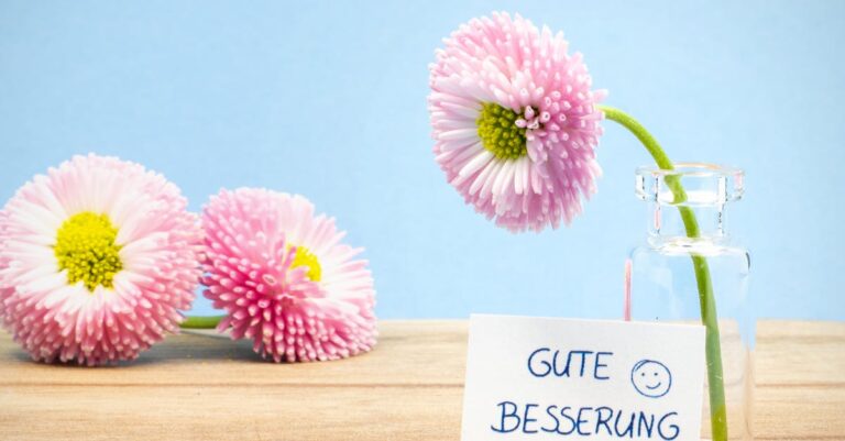 découvrez notre sélection de boules de pétanque éco-responsables, alliant passion du jeu et respect de l'environnement. profitez de moments de convivialité tout en préservant la planète grâce à nos produits durables et écologiques.