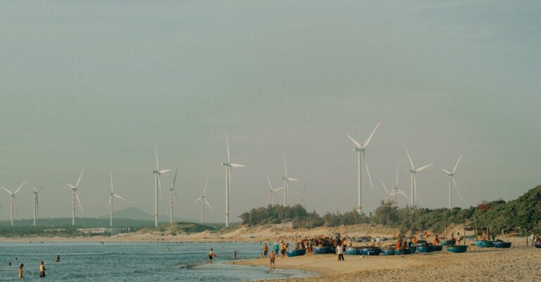 découvrez des activités de plage durables qui allient plaisir et respect de l'environnement. profitez du soleil, de la mer et de la nature tout en contribuant à la préservation de notre planète grâce à des loisirs écoresponsables.