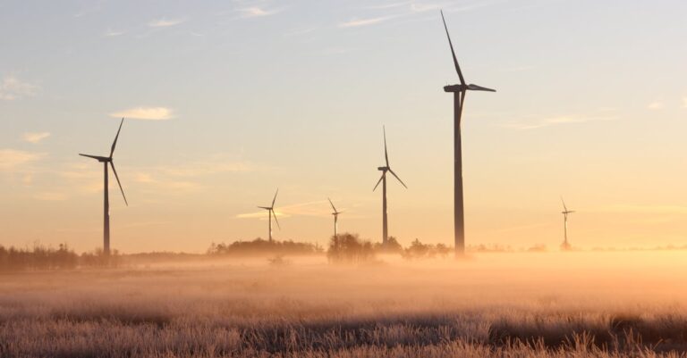 découvrez les enjeux de la durabilité, les initiatives écologiques et les pratiques responsables qui contribuent à un avenir meilleur sur notre planète.