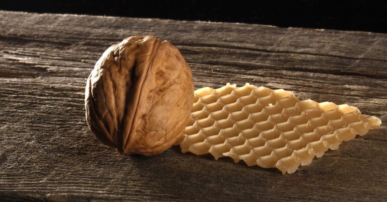 découvrez notre délicieux gâteau vegan aux noix, une recette saine et gourmande, parfaite pour les amateurs de desserts végétaliens. avec ses ingrédients naturels et son goût irrésistible, ce gâteau satisfera toutes vos envies sucrées tout en respectant votre mode de vie. idéal pour toutes les occasions, il ravira vos invités et égayera vos repas !