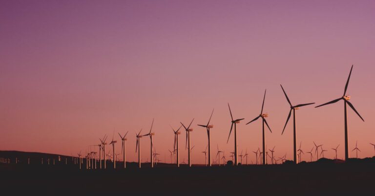 découvrez des pratiques durables pour un avenir meilleur. apprenez comment intégrer l'éco-responsabilité dans votre quotidien et contribuez à la préservation de notre planète.