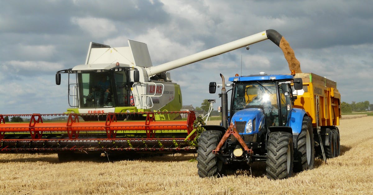 découvrez l'univers de l'agriculture, un secteur vital pour notre alimentation et notre économie. explorez les différentes pratiques agricoles, les innovations technologiques, ainsi que les enjeux environnementaux et sociétaux qui façonnent l'avenir de l'agriculture.