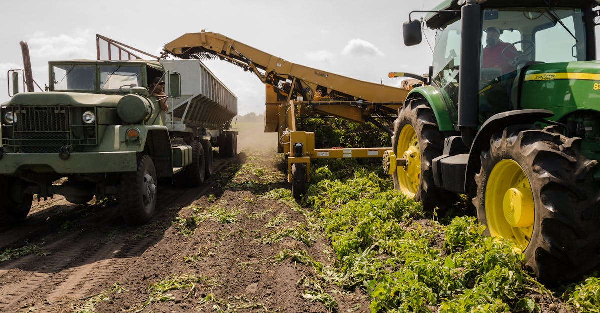 découvrez le monde fascinant de l'agriculture, ses techniques innovantes, son impact sur l'environnement et son rôle fondamental dans notre société. apprenez comment les agriculteurs cultivent la terre et produisent des aliments de qualité pour nourrir la planète.