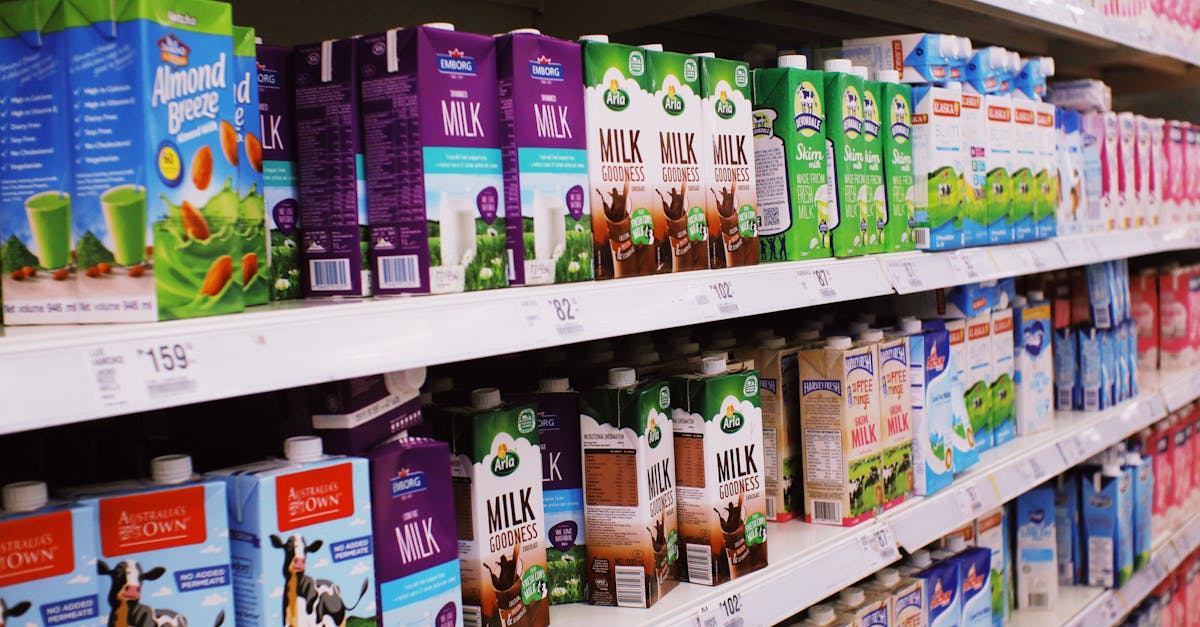 découvrez les bienfaits du lait d'amande : une alternative végétale délicieuse, riche en nutriments et idéale pour ceux qui cherchent à réduire leur consommation de produits laitiers. apprenez comment l'intégrer dans votre alimentation quotidienne pour une vie plus saine.
