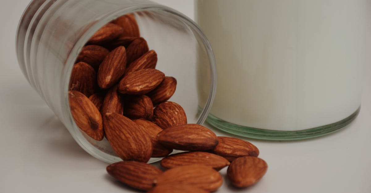 découvrez les bienfaits du lait d'amande, une alternative délicieuse et saine au lait traditionnel. riche en vitamines et en saveurs, il est parfait pour les smoothies, les cafés et la pâtisserie. essayez le lait d'amande pour une cuisine gourmande et nutritive !