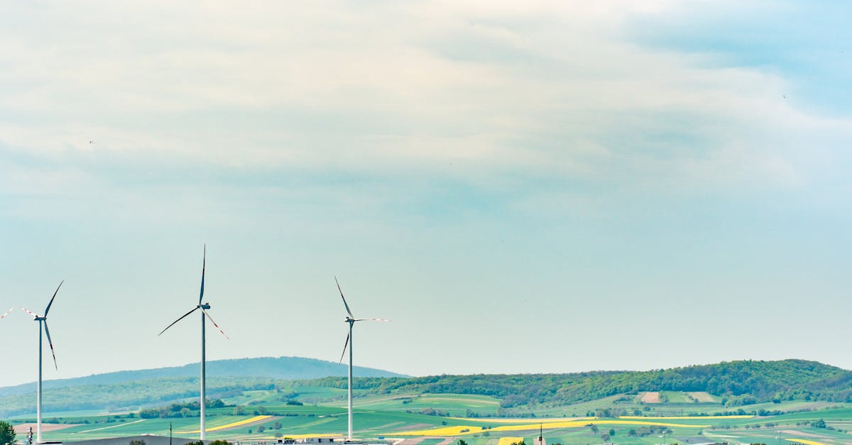 découvrez des alternatives innovantes et pratiques pour divers aspects de votre vie quotidienne. trouvez des solutions écologiques, économiques et efficaces qui répondent à vos besoins tout en respectant votre budget et vos valeurs.