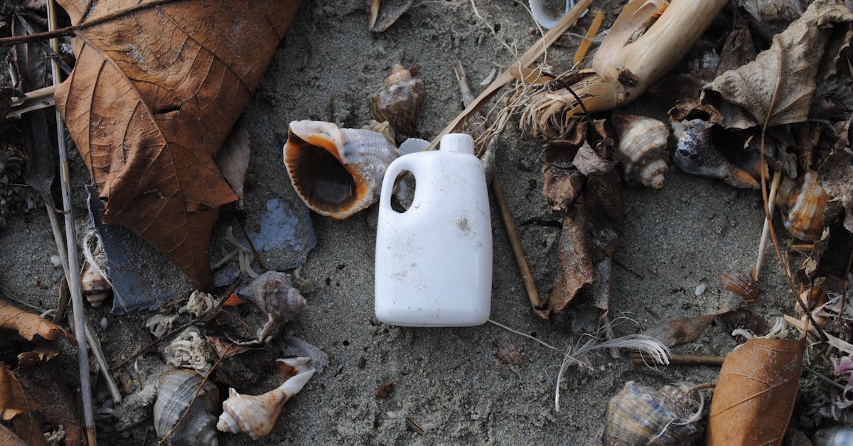 participez à notre nettoyage de plage et contribuez à préserver la beauté naturelle de nos côtes. rejoignez-nous pour une journée engagée contre la pollution marine et profitez d'activités en plein air tout en apprenant sur la protection de l'environnement.