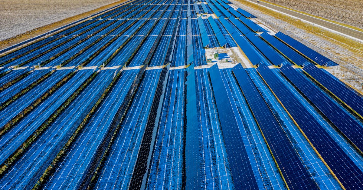 découvrez les panneaux biodégradables, une solution écologique et durable pour vos projets de construction et d'aménagement. fabriqués à partir de matériaux naturels, ces panneaux respectueux de l'environnement allient performance et responsabilité. optez pour une alternative innovante qui contribue à réduire votre empreinte carbone.