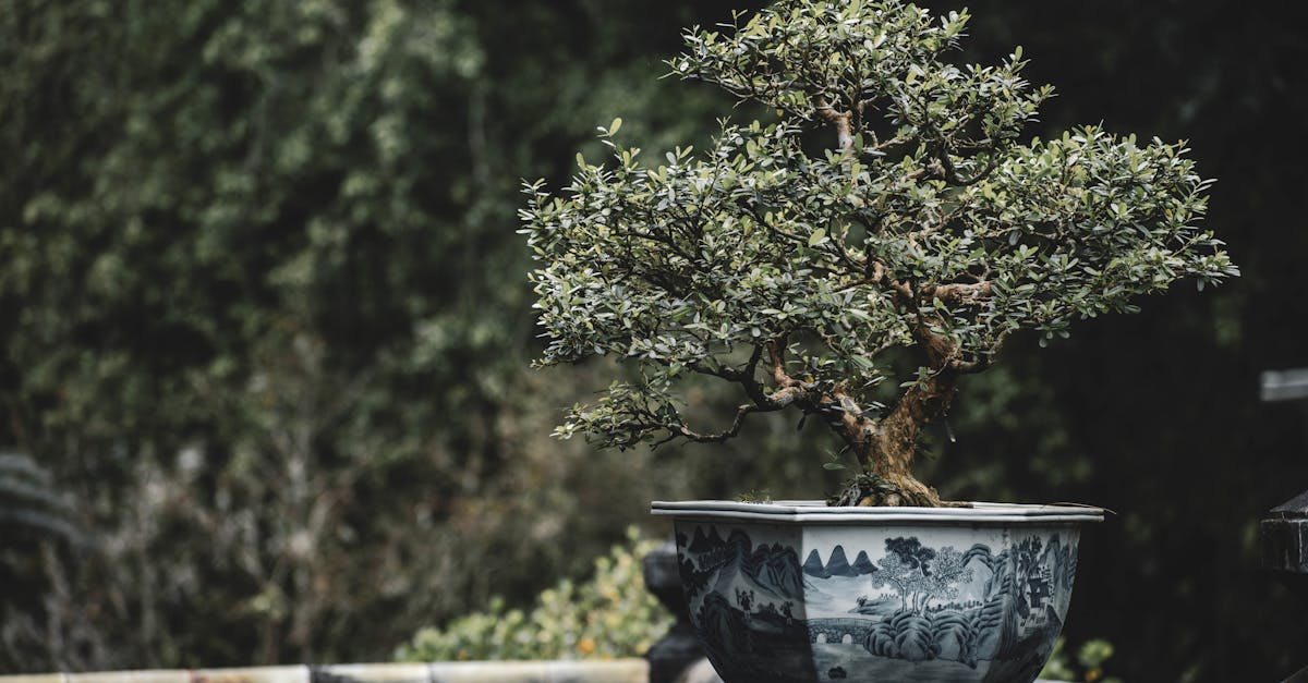 découvrez le jardinage biodynamique, une méthode durable qui privilégie l'harmonie avec la nature. apprenez à cultiver vos plantes en respectant les rythmes lunaires et en utilisant des techniques écologiques pour enrichir votre sol et favoriser la biodiversité.