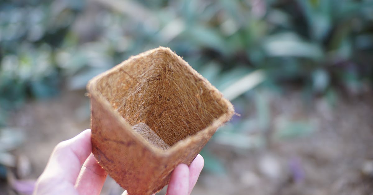 découvrez l'art du jardinage biodynamique, une approche écologique qui harmonise la culture des plantes avec les cycles naturels. apprenez des techniques durables pour enrichir votre sol, favoriser la biodiversité et obtenir des récoltes saines et savoureuses.