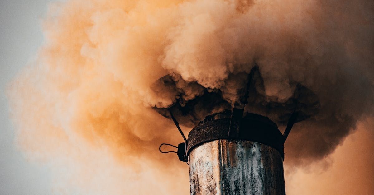 découvrez tout ce qu'il faut savoir sur l'empreinte carbone : définition, impact environnemental, enjeux actuels et conseils pour la réduire au quotidien.