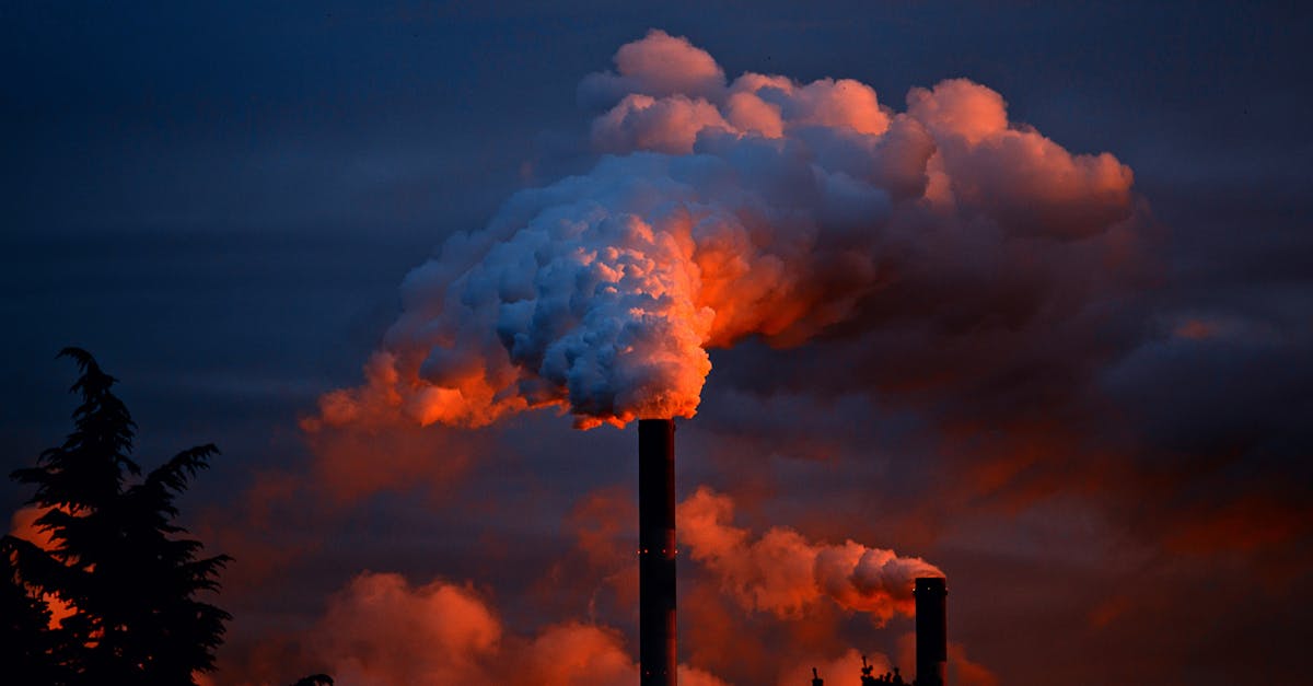 découvrez comment réduire votre empreinte carbone et contribuer à la protection de l'environnement. apprenez des astuces pratiques et des solutions durables pour minimiser votre impact écologique au quotidien.