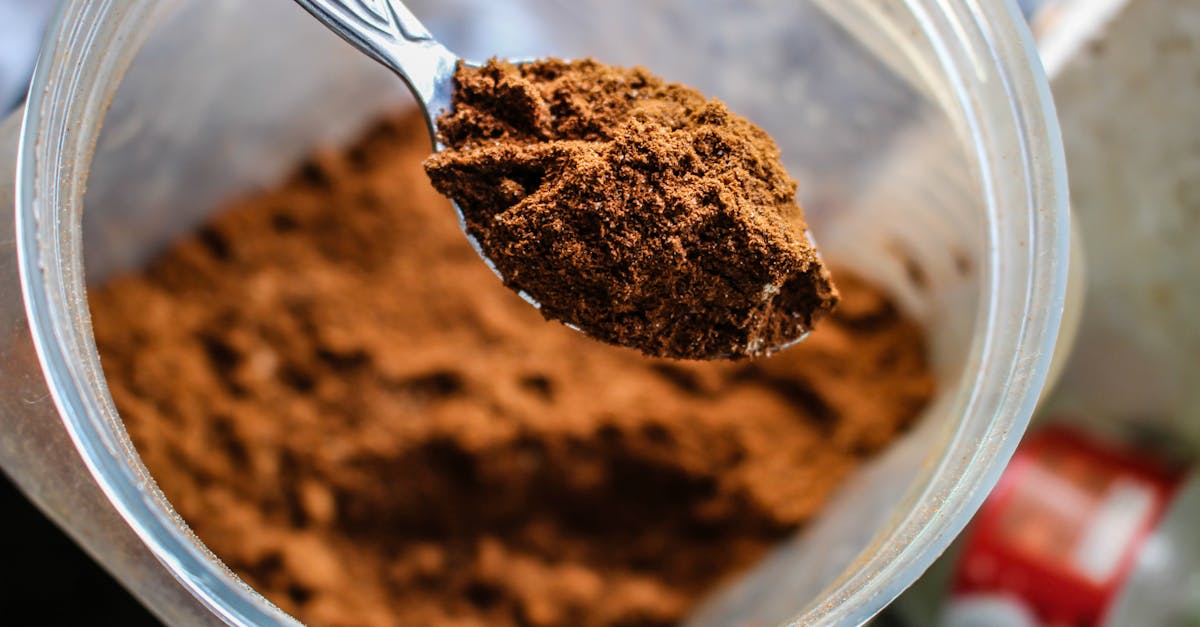 découvrez l'univers irrésistible du chocolat : ses origines, ses variétés et ses bienfaits. plongez dans des recettes délicieuses et apprenez à savourer chaque bouchée.