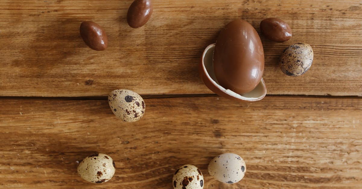 découvrez notre sélection d'œufs en chocolat, parfaits pour les fêtes et les amateurs de douceurs. savourez des créations artisanales alliant qualité et goût irrésistible.