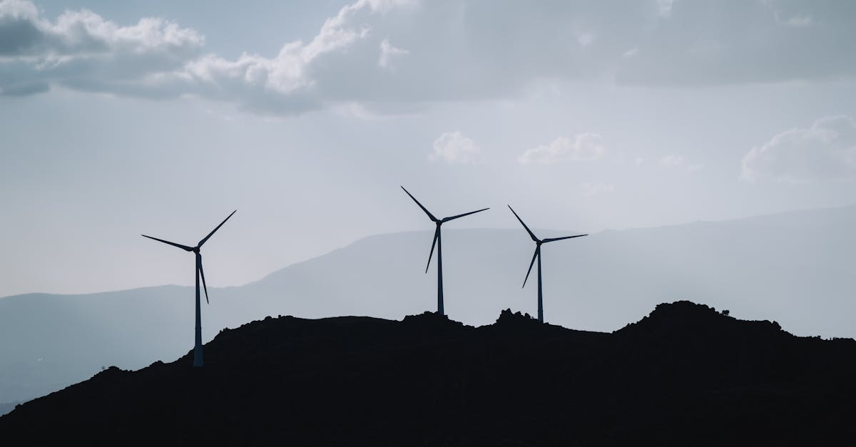 découvrez des stratégies efficaces pour réduire les émissions de co2 et contribuer à la lutte contre le changement climatique. apprenez comment les entreprises et les individus peuvent adopter des pratiques durables pour minimiser leur empreinte carbone.