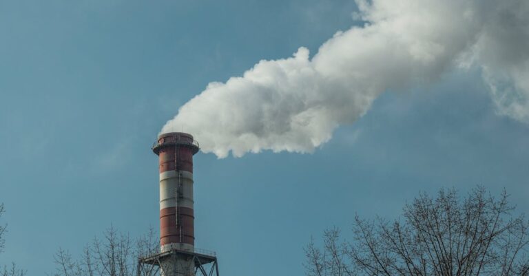 découvrez des stratégies efficaces pour réduire les émissions de co2 et contribuer à un avenir durable. apprenez comment les entreprises, les gouvernements et les individus peuvent collaborer pour diminuer leur empreinte carbone et protéger notre planète.