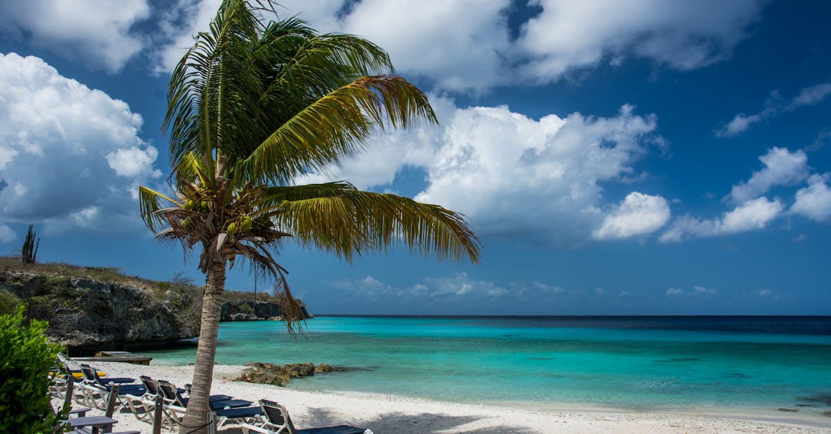 découvrez curaçao, une île paradisiaque des caraïbes, connue pour ses plages de sable blanc, ses eaux cristallines et sa culture vibrant. explorez ses sites historiques, ses paysages sous-marins magnifiques et laissez-vous envoûter par l'hospitalité des habitants.
