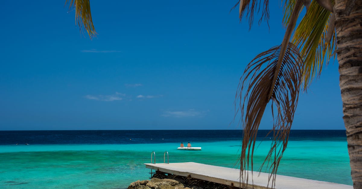 découvrez curaçao, une destination paradisiaque des caraïbes réputée pour ses plages de sable blanc, ses eaux turquoise et son ambiance festive. explorez ses récifs coralliens, sa culture vibrante et son patrimoine historique unique.