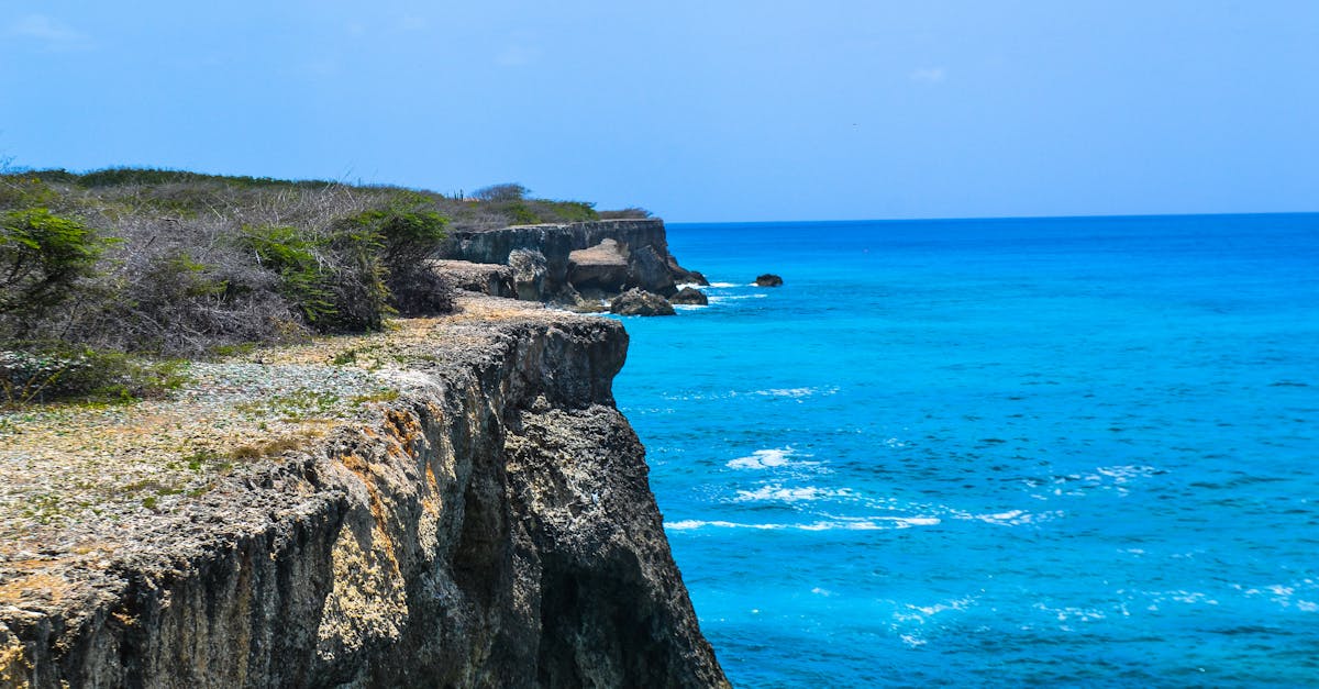 découvrez curaçao, une île paradisiaque des caraïbes, célèbre pour ses plages de sable blanc, ses eaux turquoise et sa vie marine exceptionnelle. explorez la culture colorée, la cuisine délicieuse et les paysages époustouflants qui font de cette destination un incontournable pour les amateurs de vacances ensoleillées.