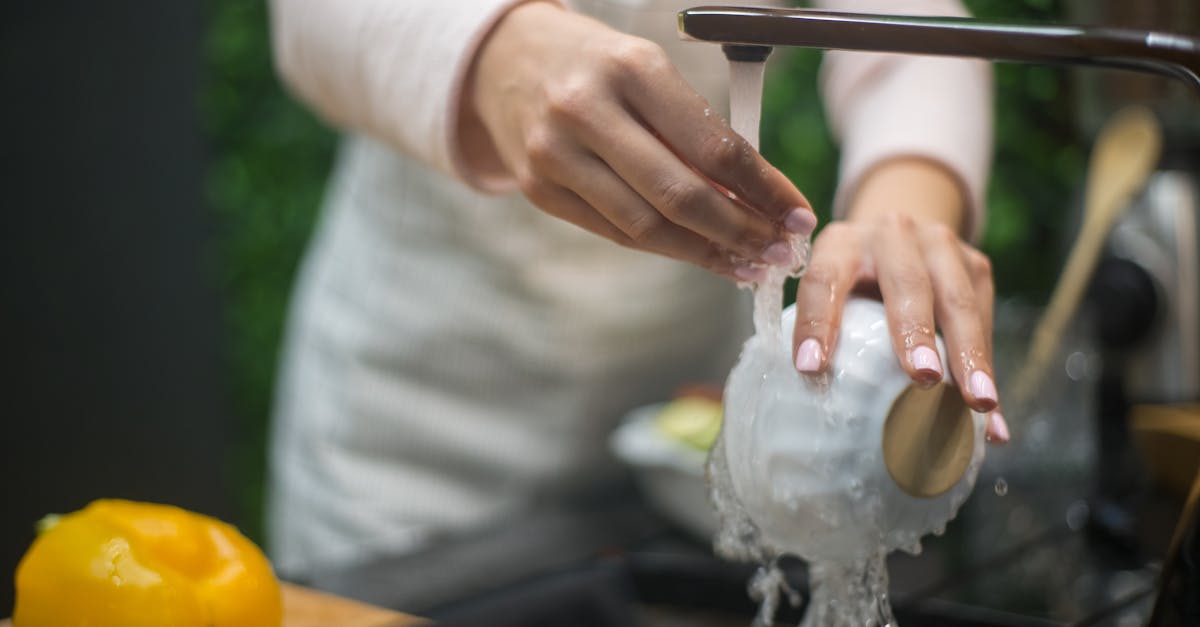 découvrez notre liquide vaisselle puissant et écologique, conçu pour éliminer la graisse et les résidus alimentaires en un clin d'œil. profitez d'une vaisselle éclatante et d'un parfum frais tout en respectant l'environnement.