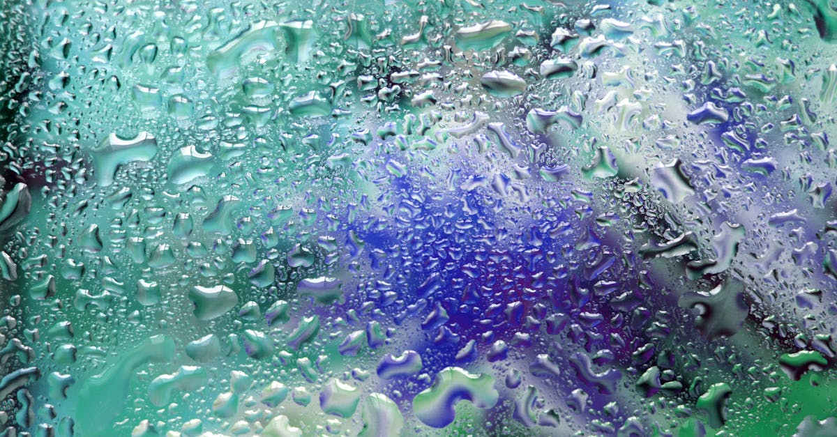 découvrez notre liquide vaisselle efficace qui dégraisse en profondeur tout en préservant votre peau. formulé avec des ingrédients doux, il vous offre une vaisselle impeccable sans effort. idéal pour un usage quotidien, il laisse vos plats brillants et votre cuisine fraîche.