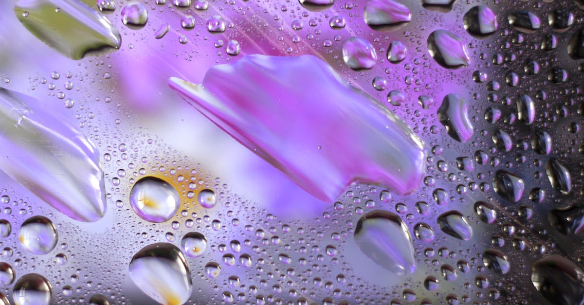 découvrez notre liquide vaisselle efficace et écologique, conçu pour faire briller votre vaisselle tout en respectant l'environnement. grâce à sa formule concentrée, il élimine la graisse et les résidus alimentaires en un rien de temps, laissant votre vaisselle propre et sans résidu. optez pour un lavage de vaisselle sans compromis avec notre produit doux pour les mains et puissant contre les salissures.