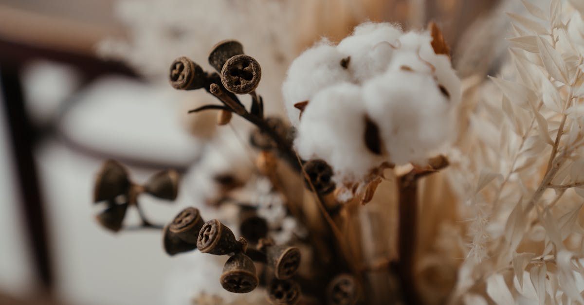 découvrez notre bouquet de fleurs séchées, une composition élégante et durable qui apporte une touche de nature à votre intérieur. parfait pour toutes les occasions, ce bouquet unique est facile d'entretien et ajoute une ambiance chaleureuse à votre décoration.