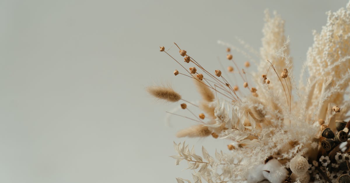 découvrez notre magnifique bouquet de fleurs sèches, une pièce élégante et durable qui apporte une touche de nature à votre intérieur. idéal pour toute occasion, il allie beauté intemporelle et faible entretien.