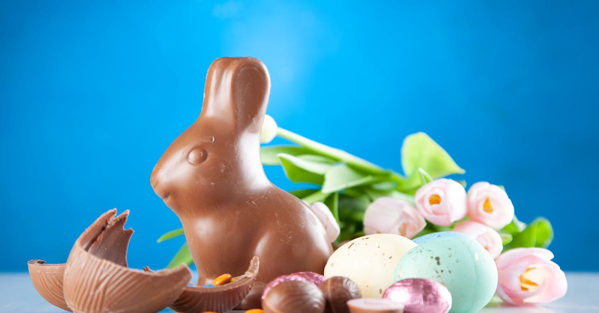découvrez les traditions, recettes et activités liées à pâques. plongez dans l'esprit de cette fête joyeuse avec des idées pour célébrer en famille, des conseils pour des chasses aux œufs inoubliables et des inspirations culinaires festives.