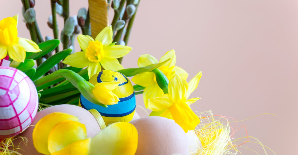 découvrez l'histoire et les traditions de pâques, une fête célébrée à travers le monde pour commémorer la résurrection du christ. explorez des recettes délicieuses, des idées de décoration et des activités ludiques pour célébrer ce moment en famille.